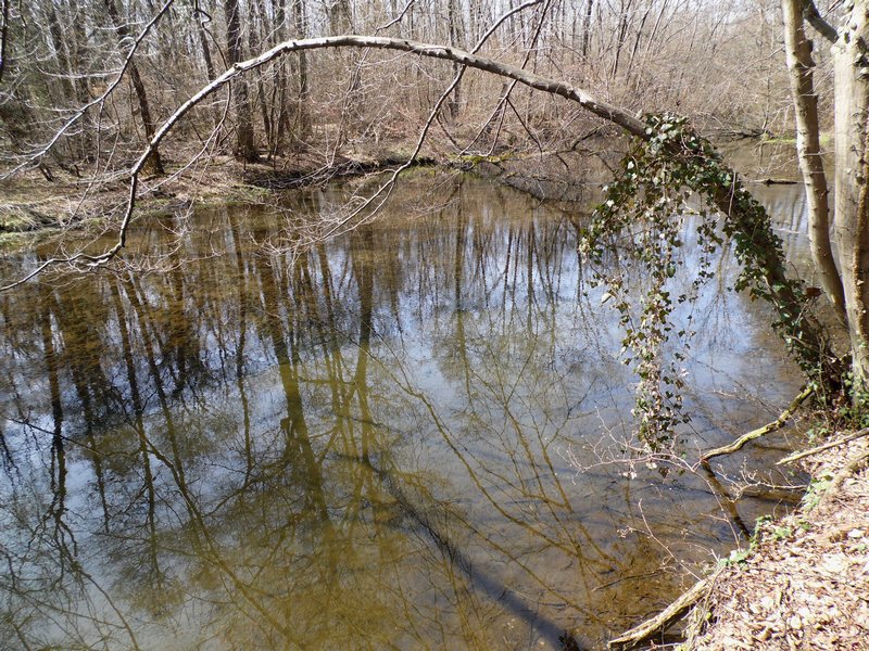 Parco del Ticino : Primavera